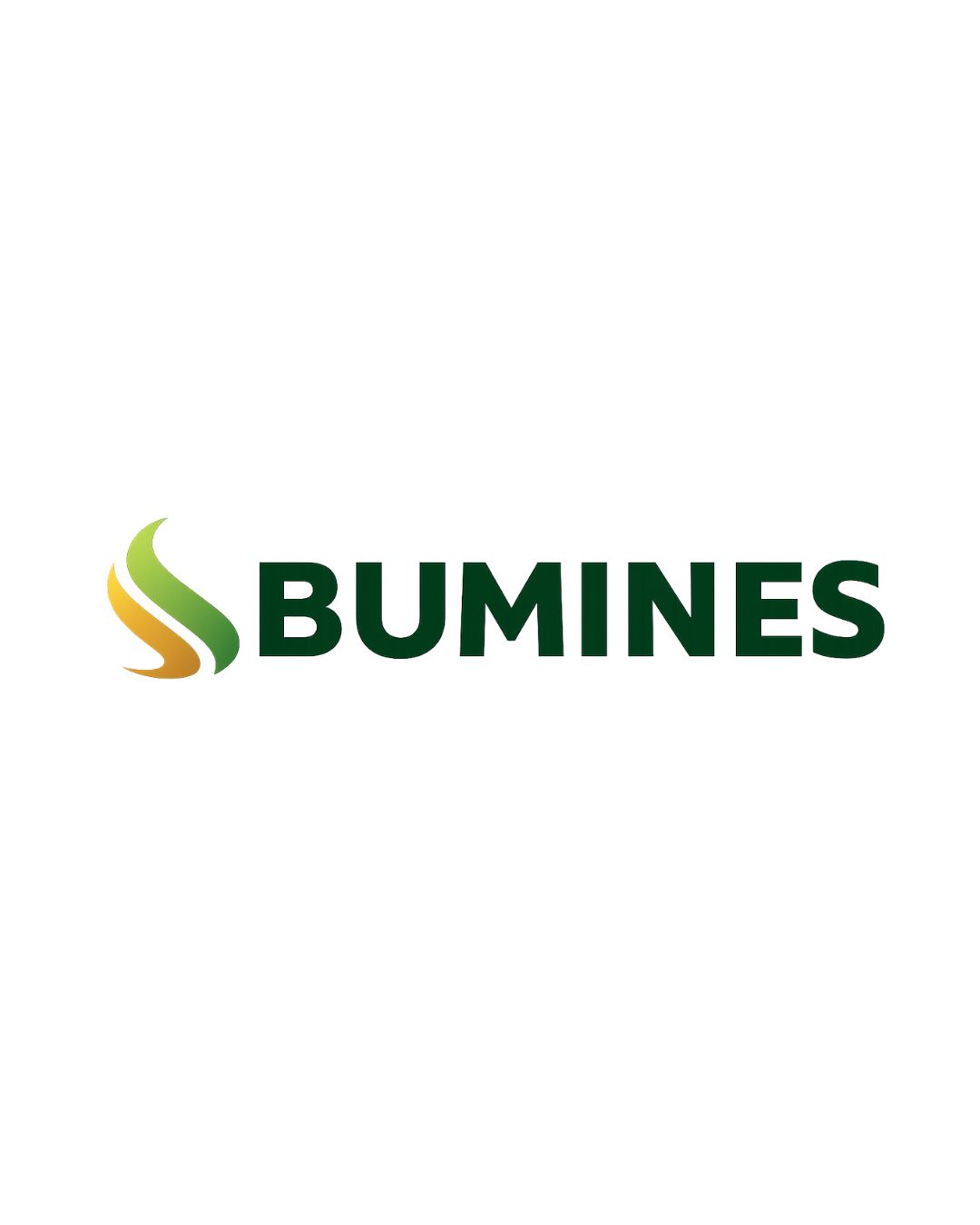 PT. Bumi Indo Resources